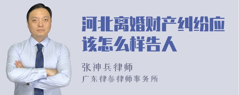 河北离婚财产纠纷应该怎么样告人