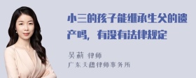 小三的孩子能继承生父的遗产吗，有没有法律规定