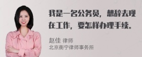 我是一名公务员，想辞去现在工作，要怎样办理手续。