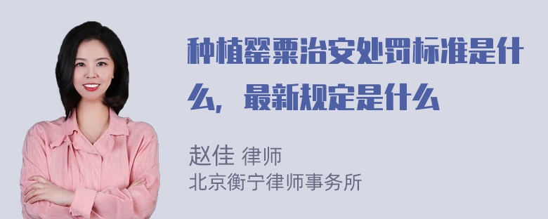 种植罂粟治安处罚标准是什么，最新规定是什么