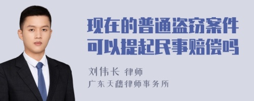 现在的普通盗窃案件可以提起民事赔偿吗