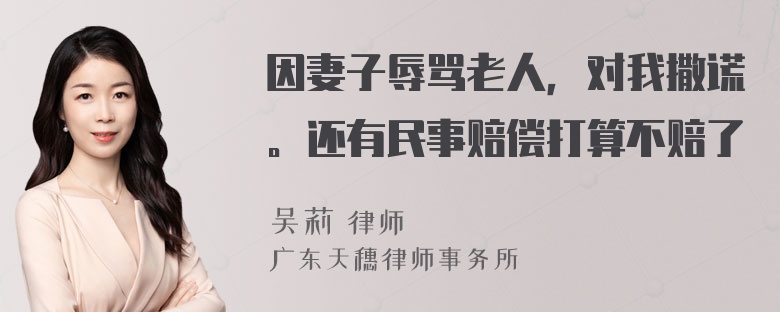 因妻子辱骂老人，对我撒谎。还有民事赔偿打算不赔了