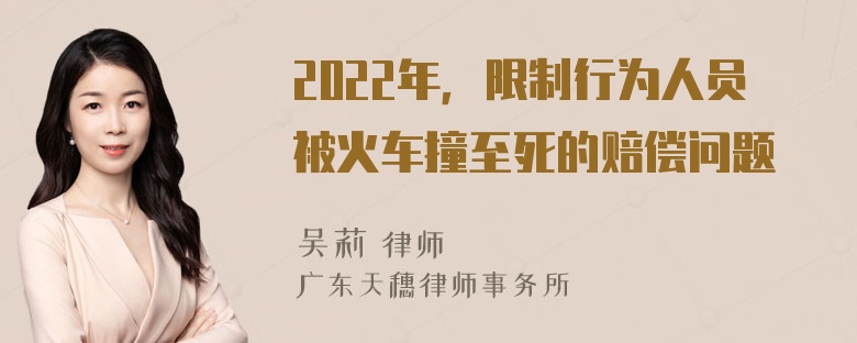 2022年，限制行为人员被火车撞至死的赔偿问题