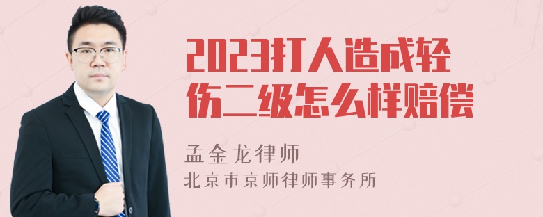 2023打人造成轻伤二级怎么样赔偿