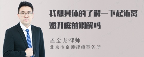 我想具体的了解一下起诉离婚开庭前调解吗