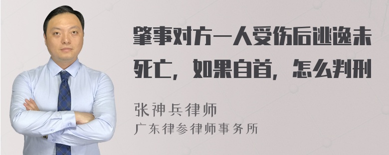 肇事对方一人受伤后逃逸未死亡，如果自首，怎么判刑