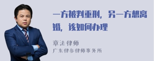 一方被判重刑，另一方想离婚，该如何办理