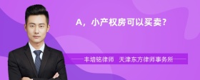 A，小产权房可以买卖？