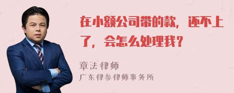 在小额公司带的款，还不上了，会怎么处理我？