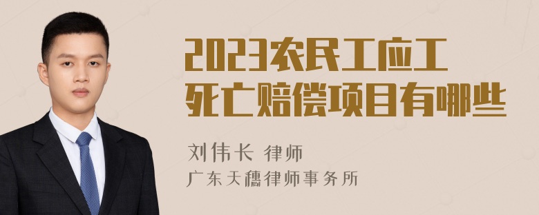 2023农民工应工死亡赔偿项目有哪些