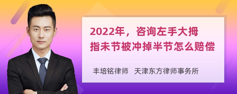 2022年，咨询左手大拇指未节被冲掉半节怎么赔偿