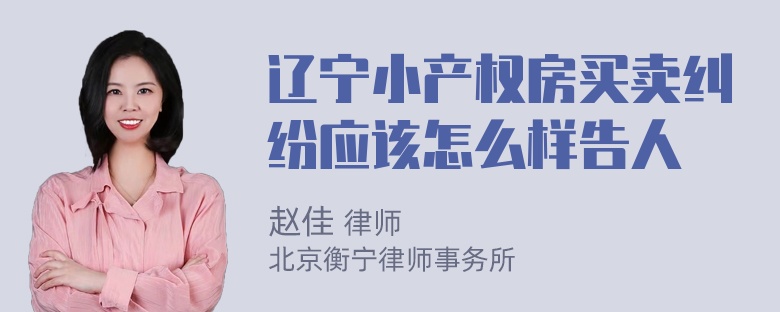 辽宁小产权房买卖纠纷应该怎么样告人