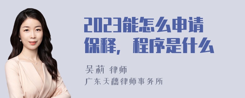 2023能怎么申请保释，程序是什么