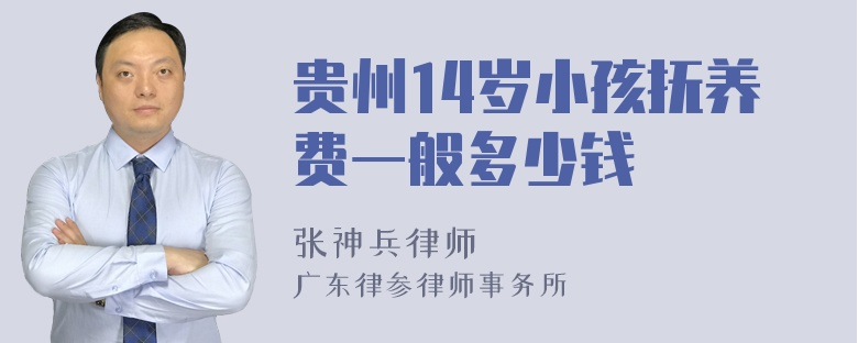 贵州14岁小孩抚养费一般多少钱