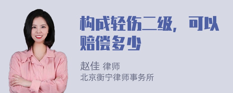 构成轻伤二级，可以赔偿多少