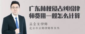 广东林权侵占纠纷律师费用一般怎么计算