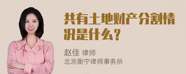 共有土地财产分割情况是什么？