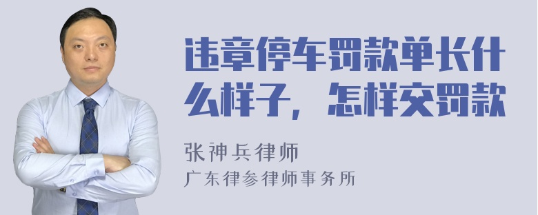 违章停车罚款单长什么样子，怎样交罚款