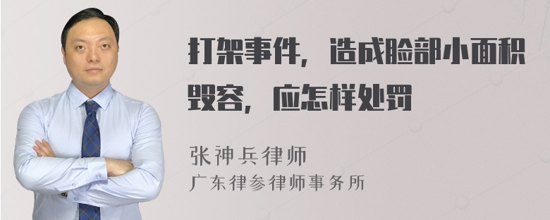 打架事件，造成脸部小面积毁容，应怎样处罚