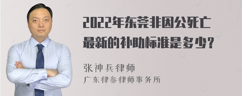 2022年东莞非因公死亡最新的补助标准是多少？