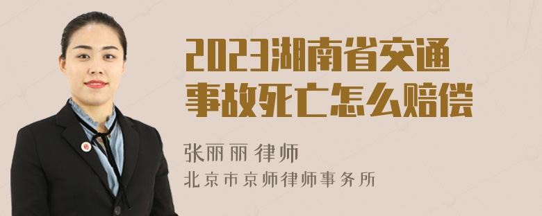 2023湖南省交通事故死亡怎么赔偿