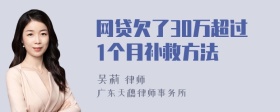 网贷欠了30万超过1个月补救方法