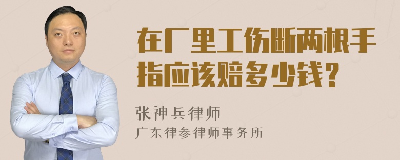 在厂里工伤断两根手指应该赔多少钱？