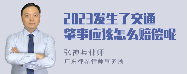 2023发生了交通肇事应该怎么赔偿呢