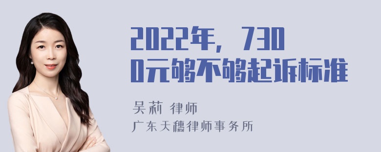 2022年，7300元够不够起诉标准