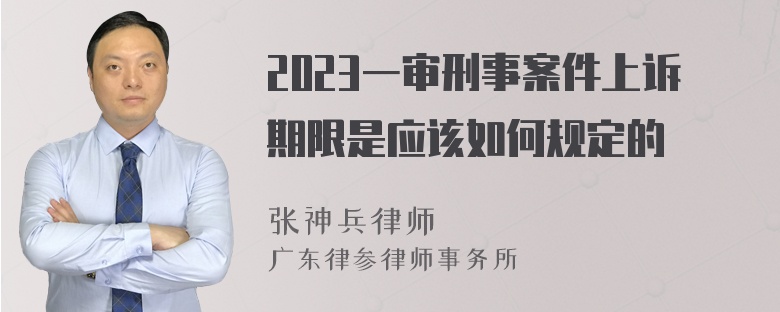 2023一审刑事案件上诉期限是应该如何规定的