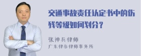 交通事故责任认定书中的伤残等级如何划分？