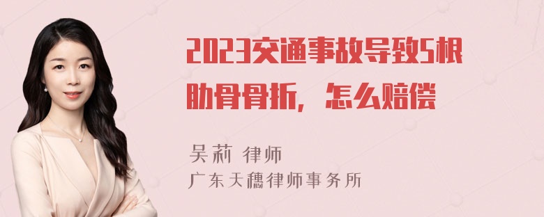 2023交通事故导致5根肋骨骨折，怎么赔偿