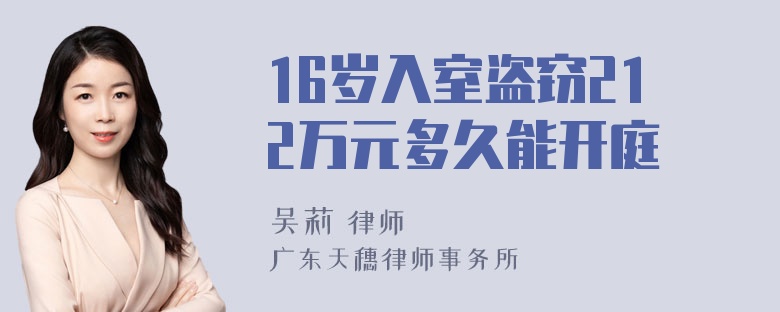 16岁入室盗窃212万元多久能开庭