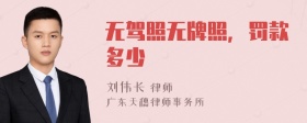 无驾照无牌照，罚款多少