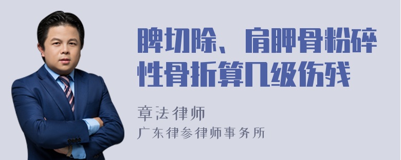 脾切除、肩胛骨粉碎性骨折算几级伤残