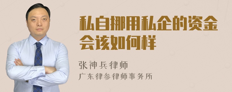 私自挪用私企的资金会该如何样