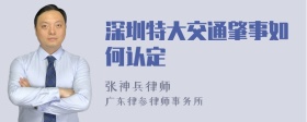 深圳特大交通肇事如何认定