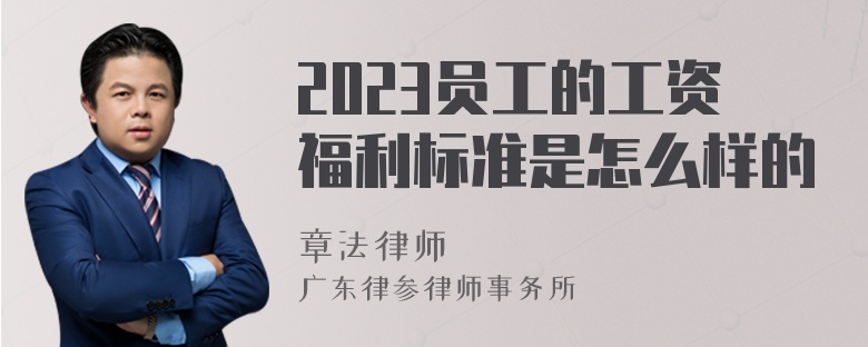 2023员工的工资福利标准是怎么样的