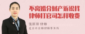 不离婚分财产诉讼找律师打官司怎样收费