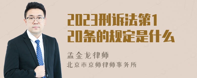 2023刑诉法第120条的规定是什么