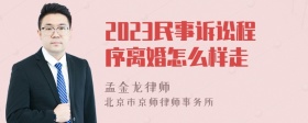 2023民事诉讼程序离婚怎么样走