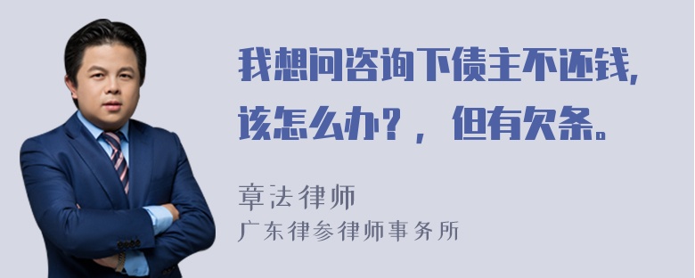 我想问咨询下债主不还钱，该怎么办？，但有欠条。