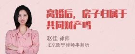 离婚后，房子归属于共同财产吗