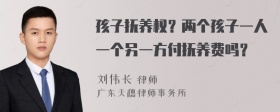 孩子抚养权？两个孩子一人一个另一方付抚养费吗？