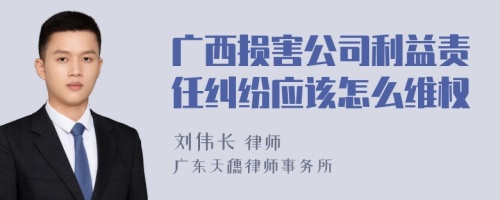 广西损害公司利益责任纠纷应该怎么维权