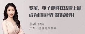 专家，电子邮件在法律上能成为证据吗？离婚案件！