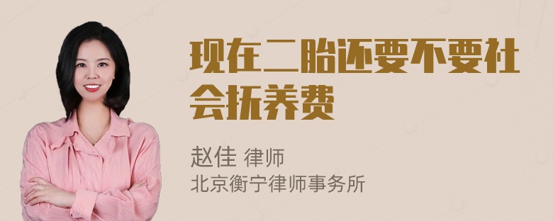 现在二胎还要不要社会抚养费