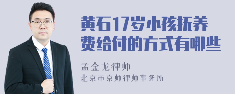 黄石17岁小孩抚养费给付的方式有哪些