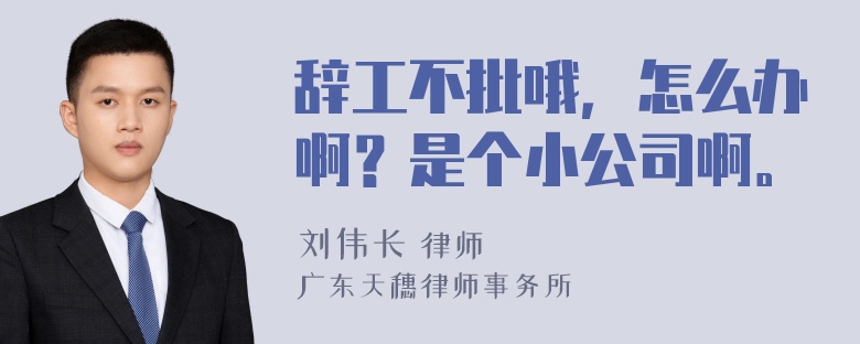 辞工不批哦，怎么办啊？是个小公司啊。