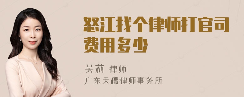 怒江找个律师打官司费用多少